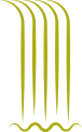 Cascade derrière l’établissement